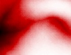 biedermann bilder