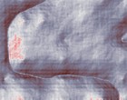 bilder titten