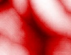 bloom bilder